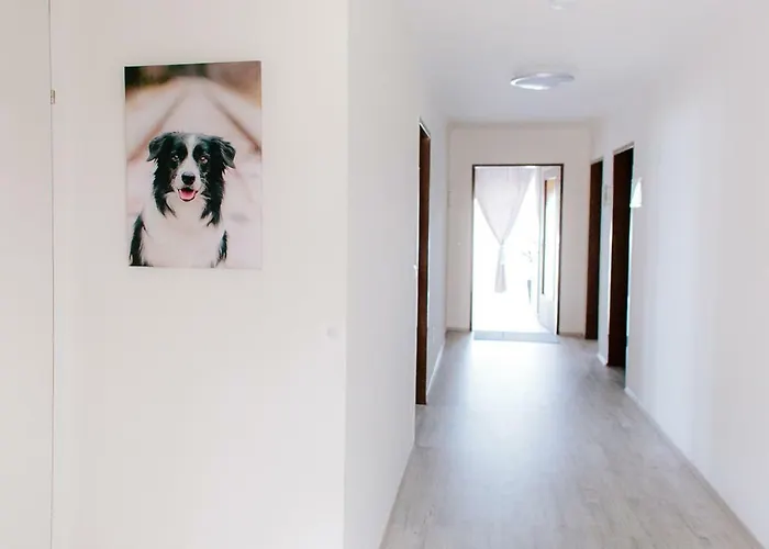 Steira-studios شقة