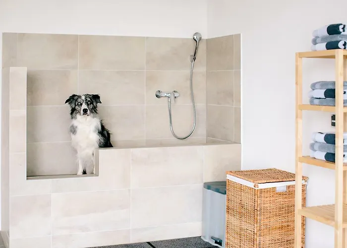 Steira-studios إيهرينهاوزين